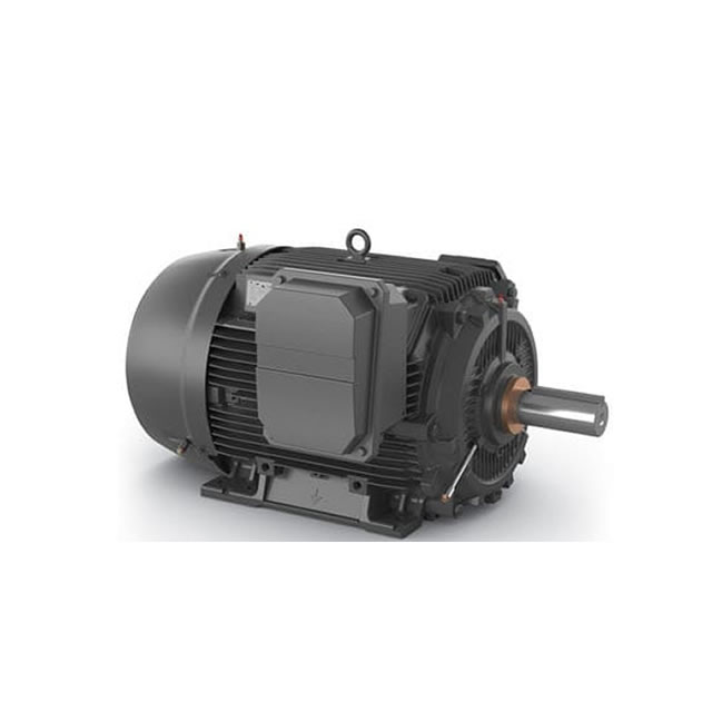 ABB NEMA Motors SD100