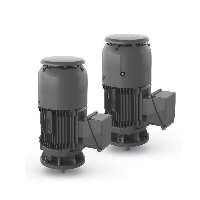 ABB Vertical Pump Motors LP100 & HP100
