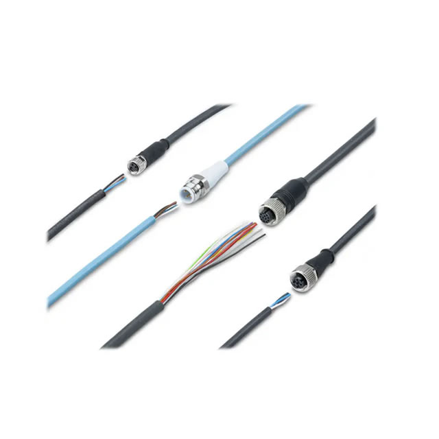Baumer Cable with Open-ended Wires CAM12.A12-11230358