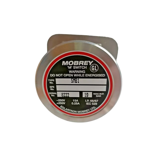 Delta Mobrey SMB1 Magnetic Level Switch
