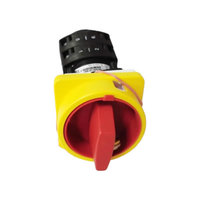Salzer T225-61199-033M4 Rotary Cam Switch