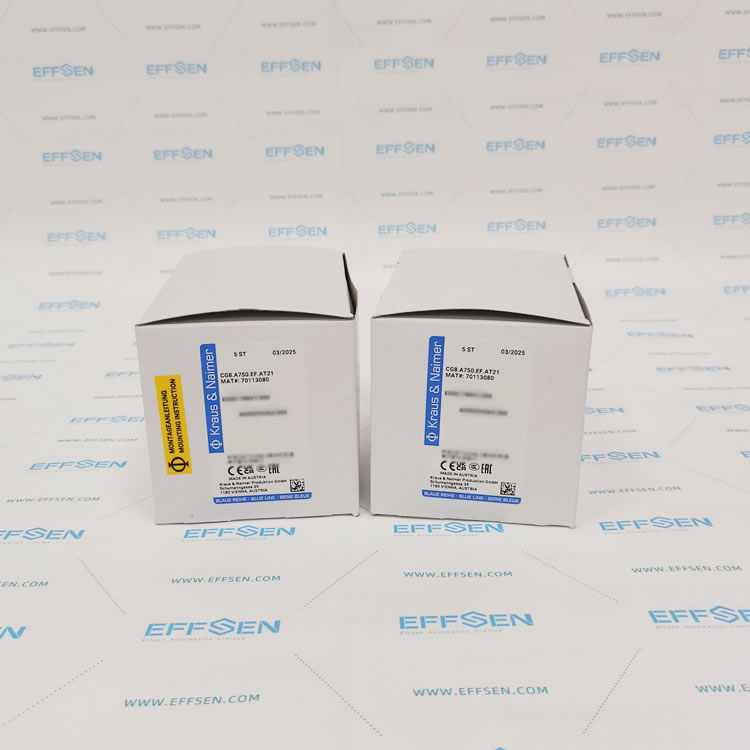 Kraus & Naimer CG8.A750.EF.AT21 Cam switches