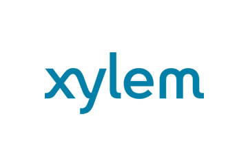 Xylem