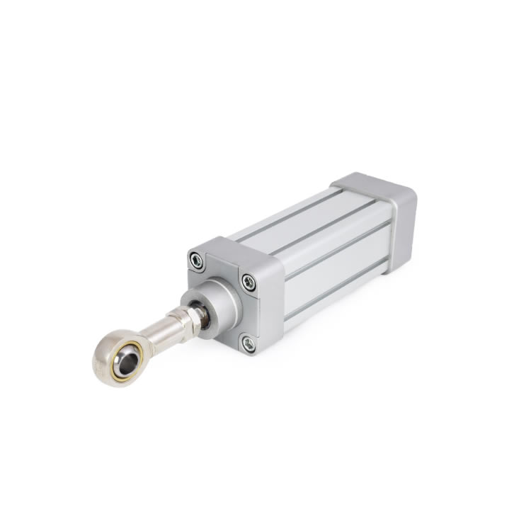 Pimatic P2520R-63/20-500 cylinders