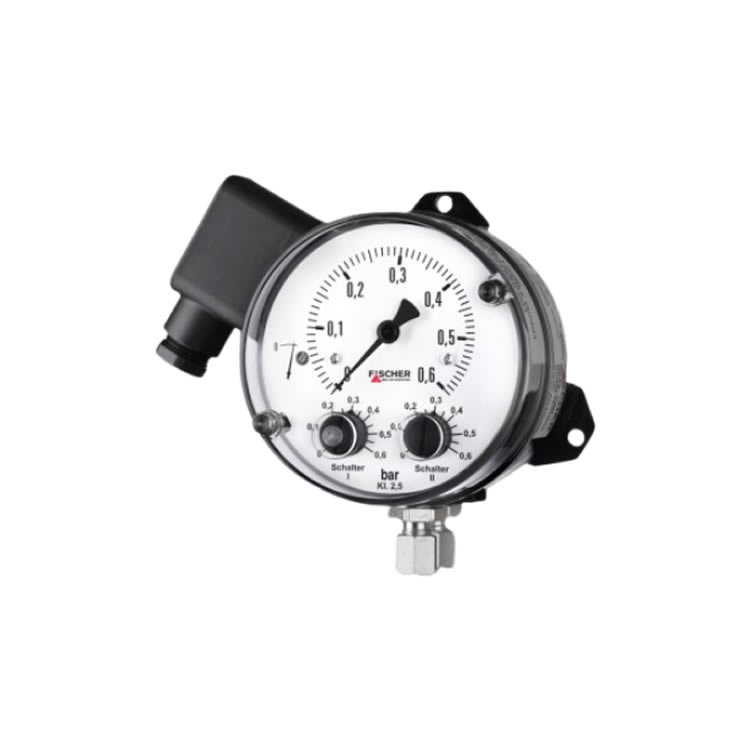 Fischer DS1102VDYYBKYY00D0544 Flow Meter