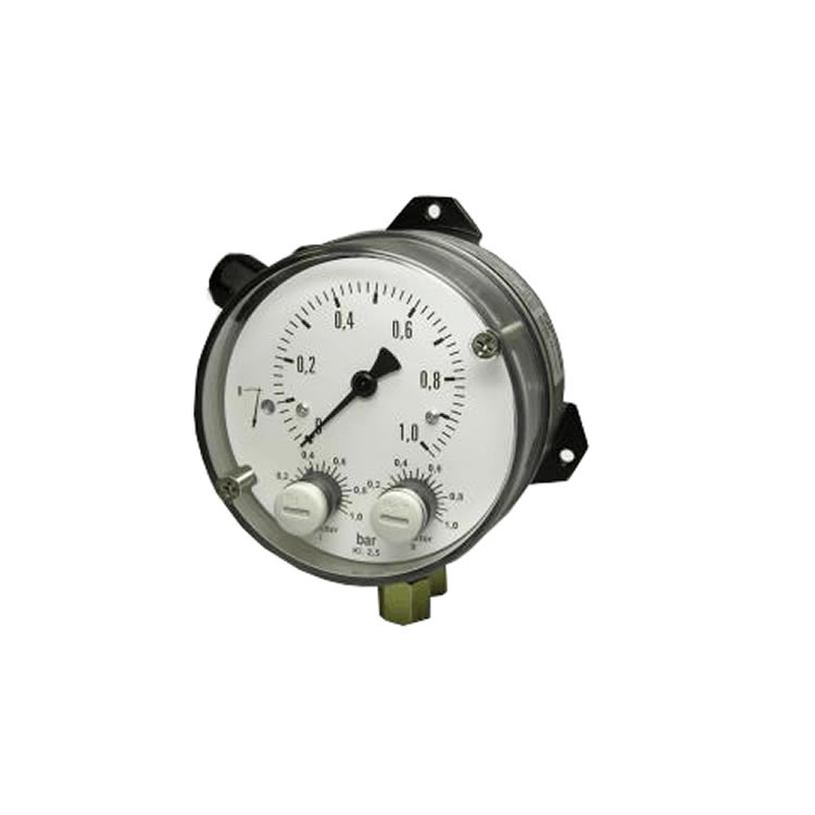 Fischer DS1106VA22B10W00 Differential Pressure Switch