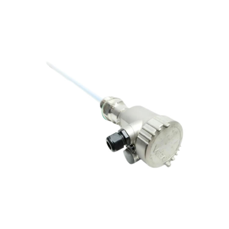 VEGA CL63.XXFGDHVMXX Liquid Level Sensor