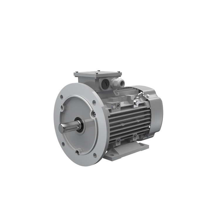 AC-Motoren FCPA 100 L 2/PHE Motor