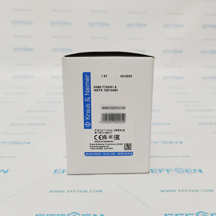 Kraus & Naimer KG80.T103/01.E Disconnect switch