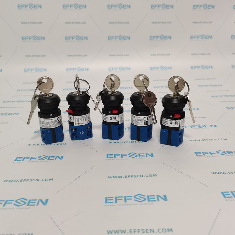 Kraus & Naimer CG4.A291.*FS1.AT21 Cam switches Rotary switches