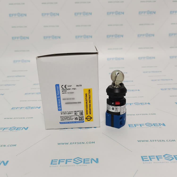 Kraus & Naimer CG4.A291.*FS1.AT21 Cam switches Rotary switches