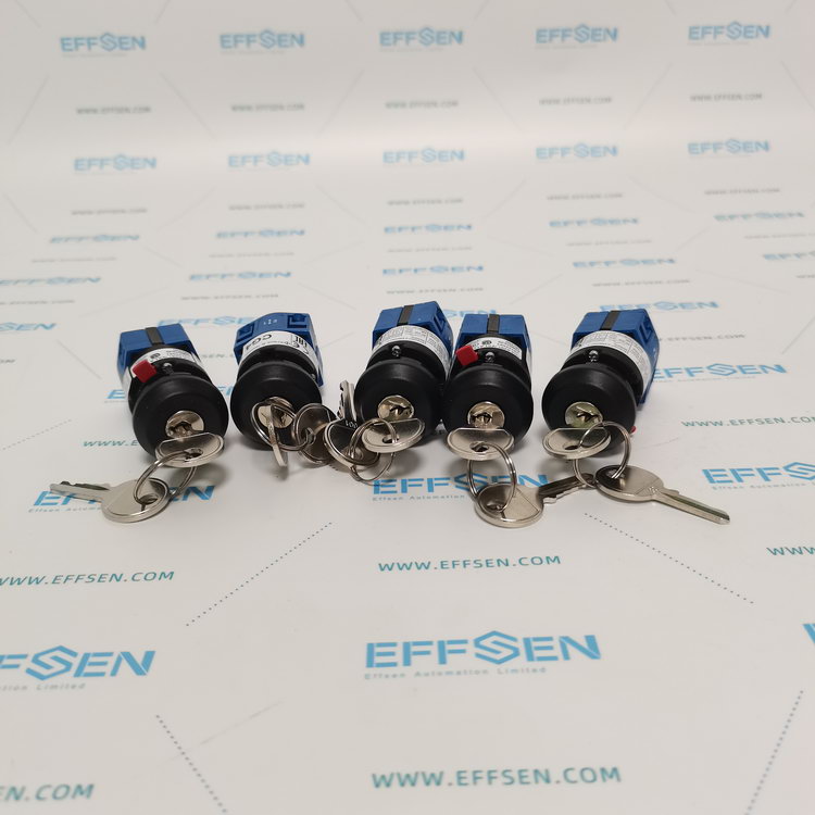 Kraus & Naimer CG4.A291.*FS1.AT21 Cam switches Rotary switches