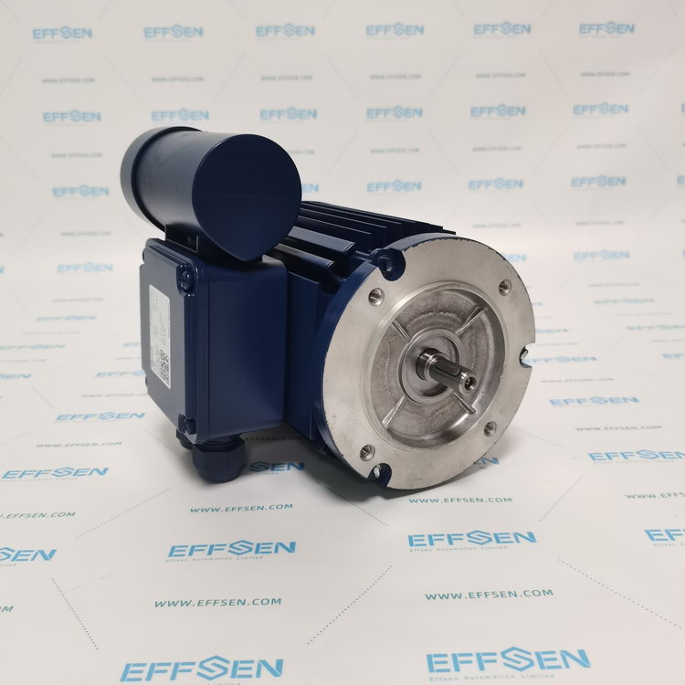 EMGR ECS 63G 4-N1AB-2 Single phase change ­current motors