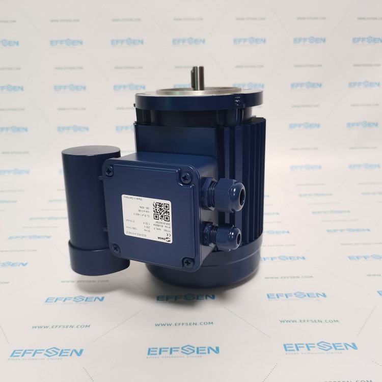 EMGR ECS 63G 4-N1AB-2 Single phase change ­current motors
