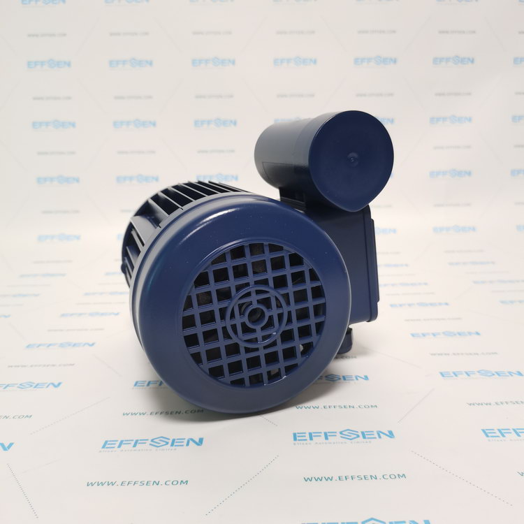 EMGR ECS 63G 4-N1AB-2 Single phase change ­current motors