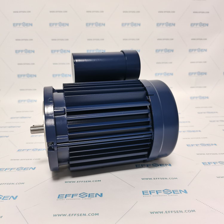 EMGR ECS 63G 4-N1AB-2 Single phase change ­current motors
