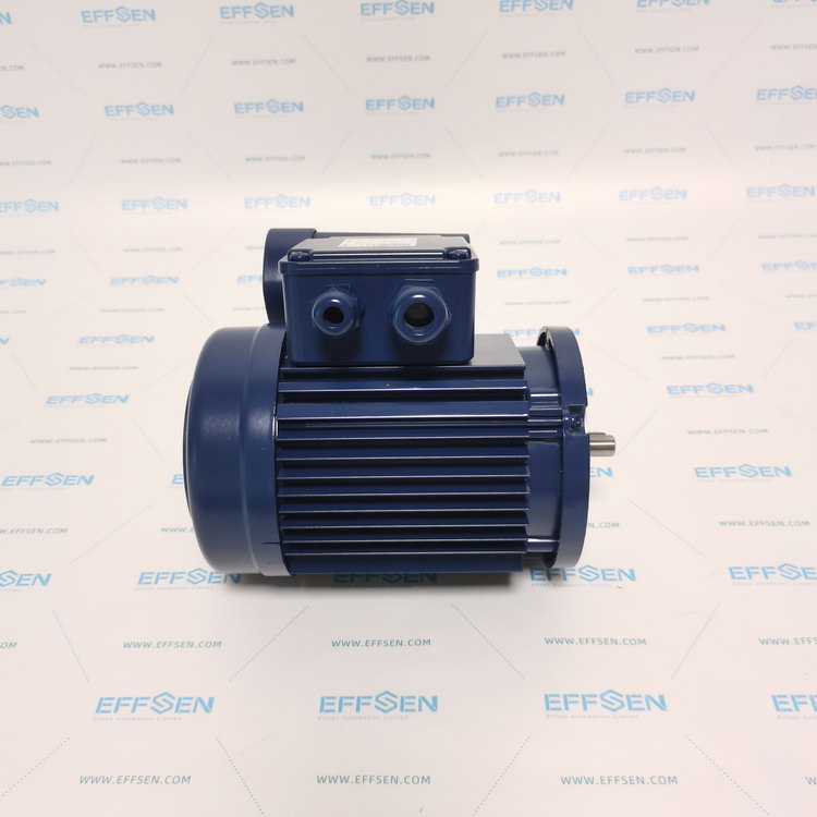 EMGR ECS 63G 4-N1AB-2 Single phase change ­current motors