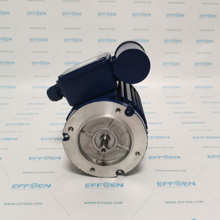 EMGR ECS 63G 4-N1AB-2 Single phase change ­current motors