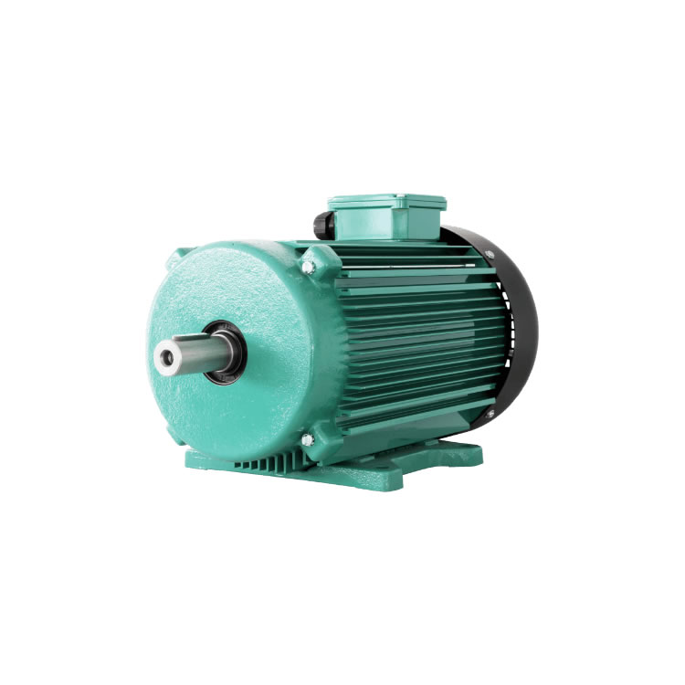 EMGR DAS 56S2 Three-phase and energy-saving ­motors