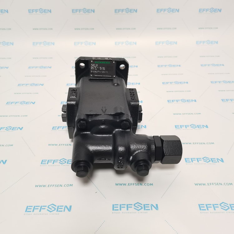 Rickmeier R25/16 FL-Z-DB16-W-G1-R-P Gear pumps