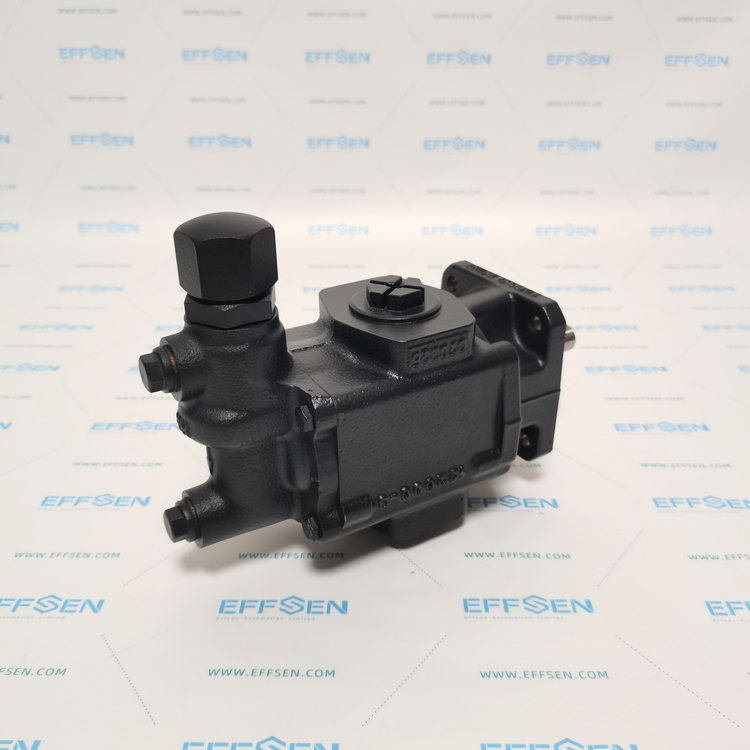 Rickmeier R25/16 FL-Z-DB16-W-G1-R-P Gear pumps