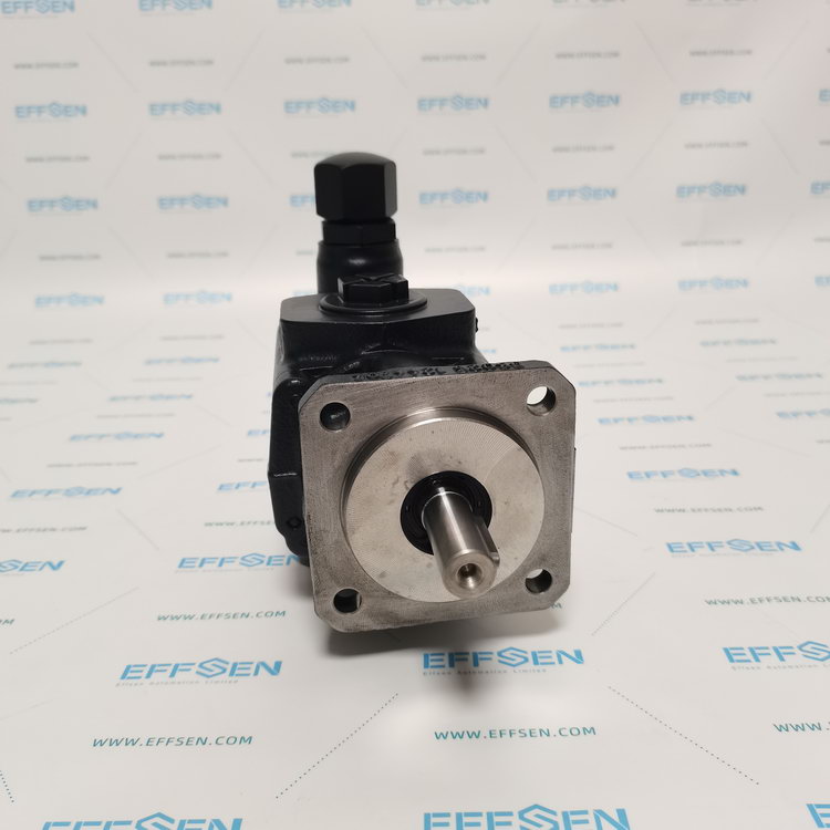 Rickmeier R25/16 FL-Z-DB16-W-G1-R-P Gear pumps