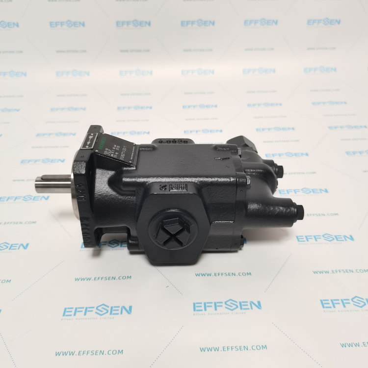 Rickmeier R25/16 FL-Z-DB16-W-G1-R-P Gear pumps