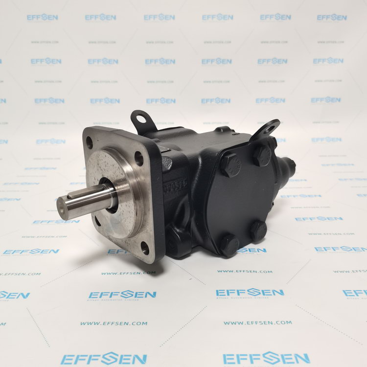 Rickmeier R35/50 FL-Z-DB16-W-SAE2-R-SO Gear pumps