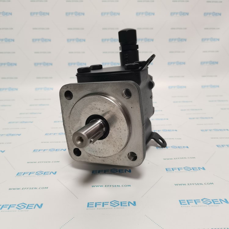 Rickmeier R35/50 FL-Z-DB16-W-SAE2-R-SO Gear pumps