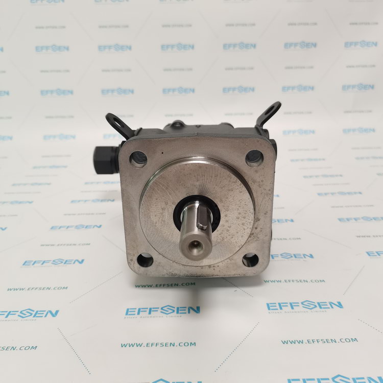 Rickmeier R35/50 FL-Z-DB16-W-SAE2-R-SO Gear pumps