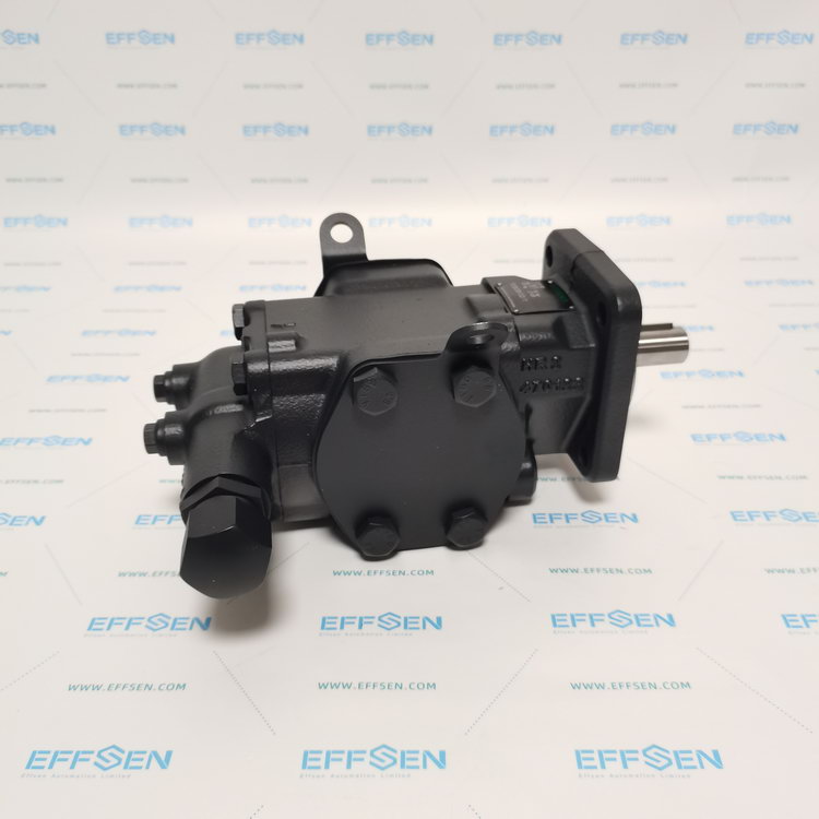 Rickmeier R35/50 FL-Z-DB16-W-SAE2-R-SO Gear pumps