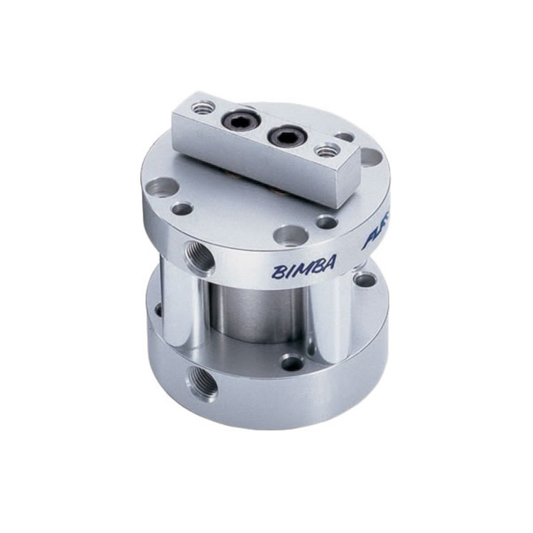 Bimba FT-090.125 Flat-II Non-Rotating cylinders