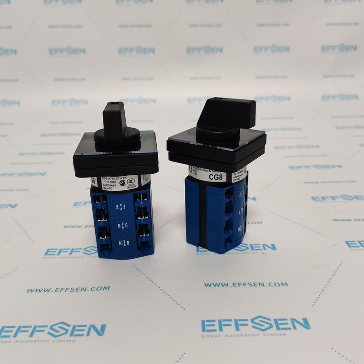Kraus & Naimer CG8.A750.EF.FT1 Cam switch