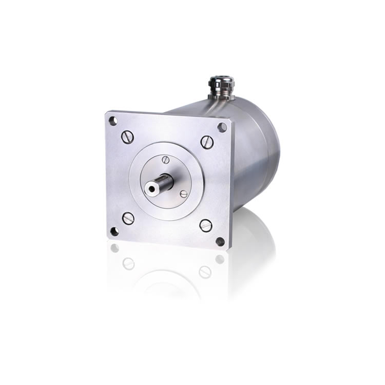 Phytron ESS Stepper Motor ESS 45-2.200.2,5
