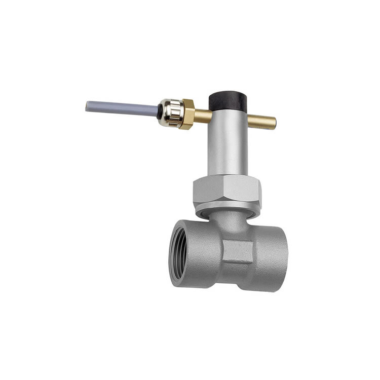Honsberg UR1-020GM DN20 G3/4 Pn25 Flow Switch