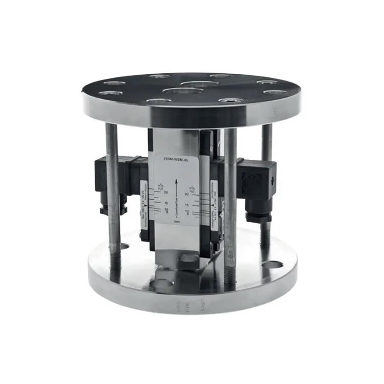 Meister WBM-65 Variable-area flow meter