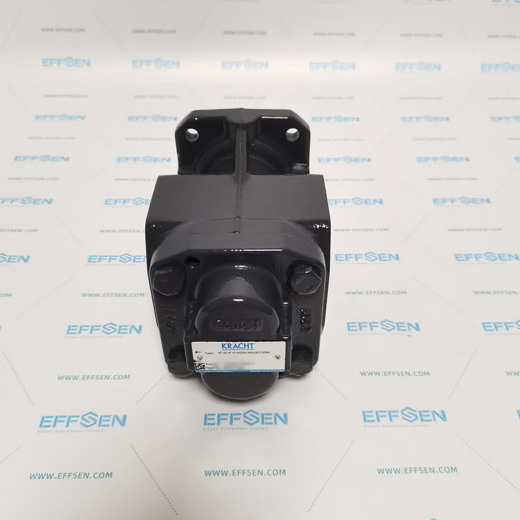 Kracht KF 50 6F10 A0ZD6 00GGE0 GDW Transfer pumps KF