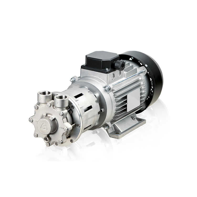 Simaco MD-CX 106 Magnetic driven inox regenerative turbine electric pumps