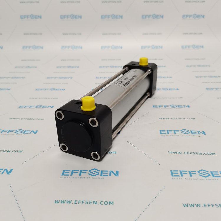 Pimatic P2020R-40/16-100 Pneumatic Cylinder
