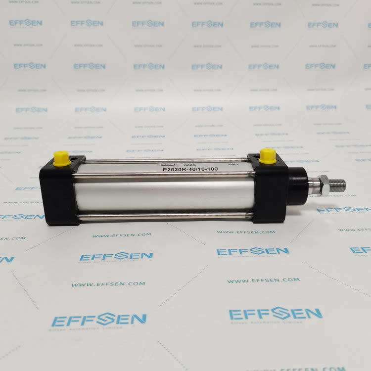 Pimatic P2020R-40/16-100 Pneumatic Cylinder
