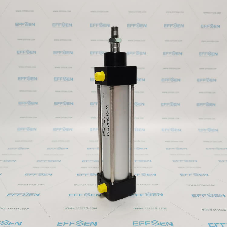 Pimatic P2020R-40/16-100 Pneumatic Cylinder