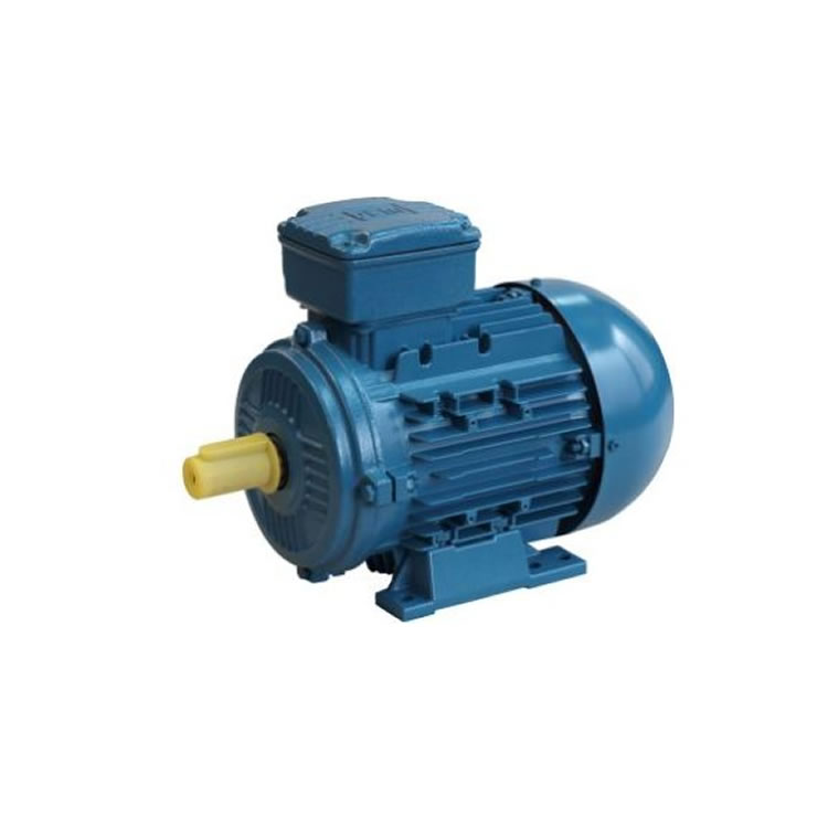 Blecher DS3-063-02-10-0024  IE3 Three-Phase Motor