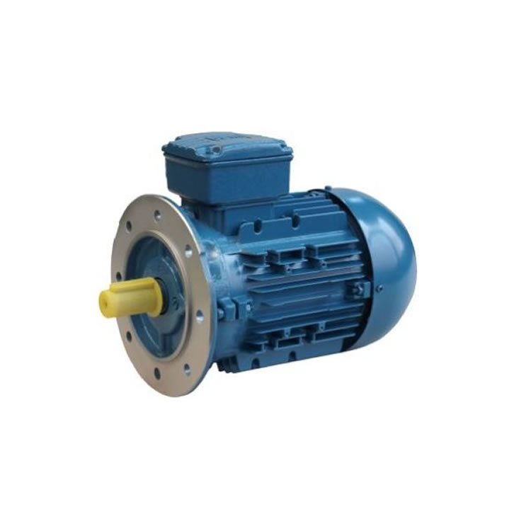 Blecher  DS3-063-02-20-0024-1 IE3 Three-phase motor