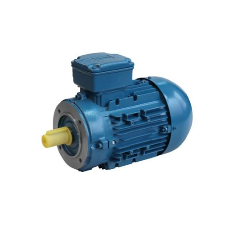 Blecher DS3-063-02-30-0024-2  IE3 Three-phase motor