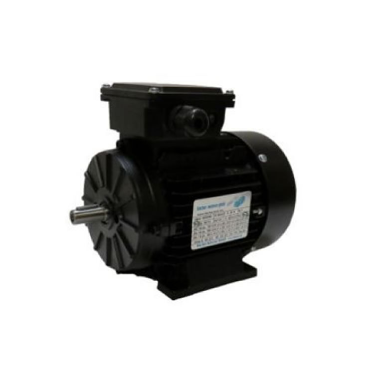 Blecher DS4-063-02-10-0022 IE4 Three-phase motor