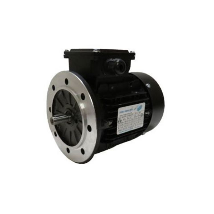 Blecher DS4-063-02-20-0022-1 IE4 Three-phase motor