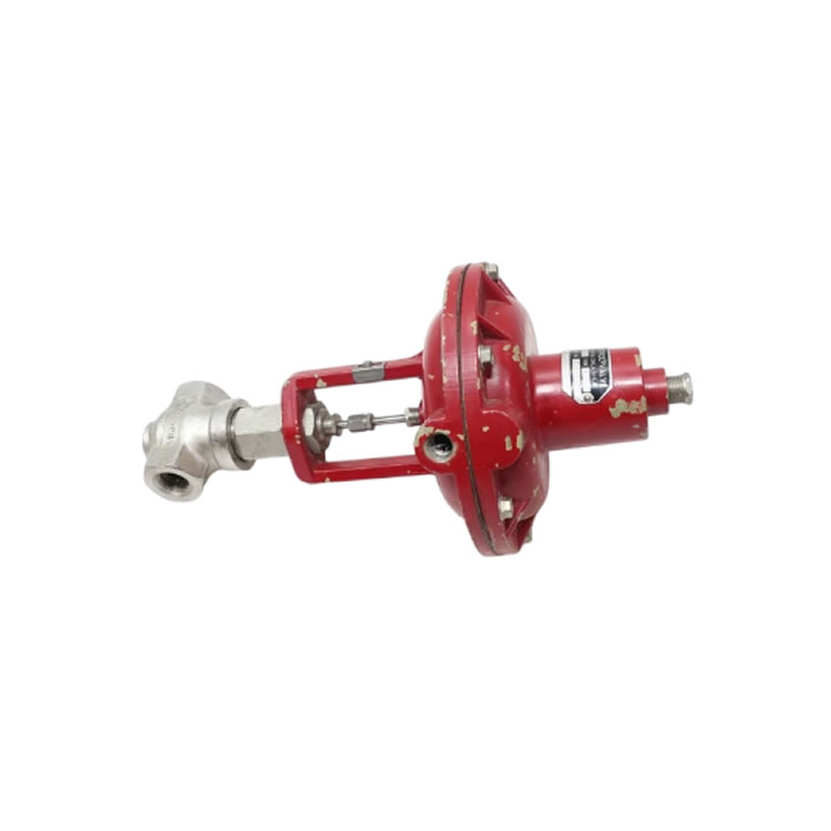 Badger Meter 1002GCN36SV0SALN36 Control valve