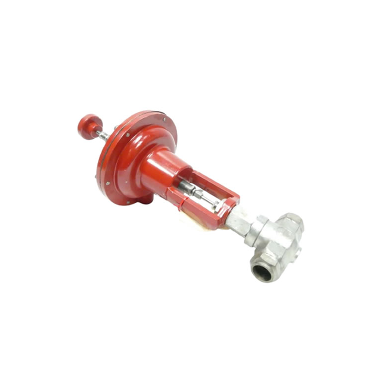 Badger Meter 1002CCS36DVCXEQO36  Control valve