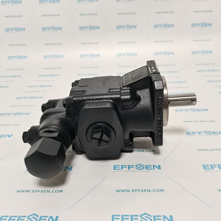 Rickmeier R25/8 FL-Z-DB16-W-G3/4-R-P Gear Pumps