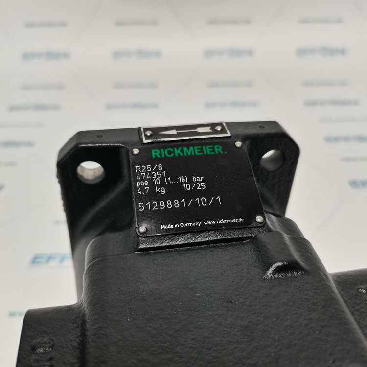 Rickmeier R25/8 FL-Z-DB16-W-G3/4-R-P Gear Pumps